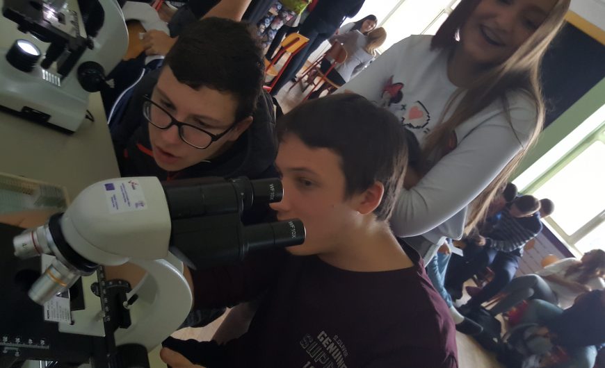 stemk_bio-8
