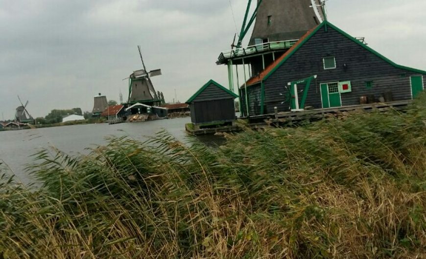 ams28