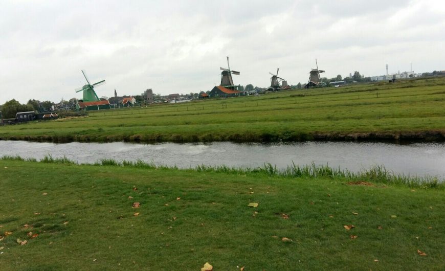 ams65